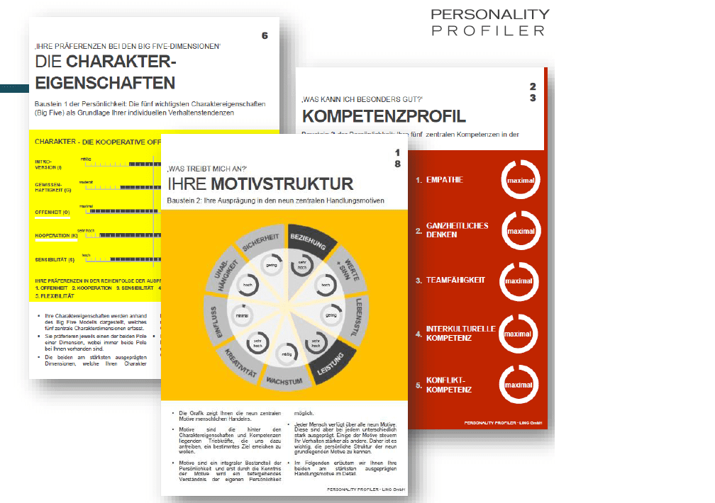 Zertifizierung Profiler - Wissenschaftliches psychologisches Testverfahren