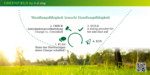 Die 4 Phasen eines Greenfields Die 4 Phasen eines Greenfields