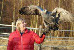 Führen auf Augenhöhe | ein Leadership-Erlebnis mit freifliegenden Greifvögeln!