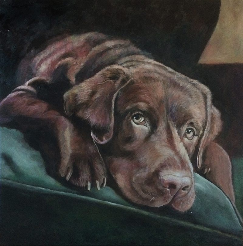 Schläfriger Hund, 100 x 100 cm